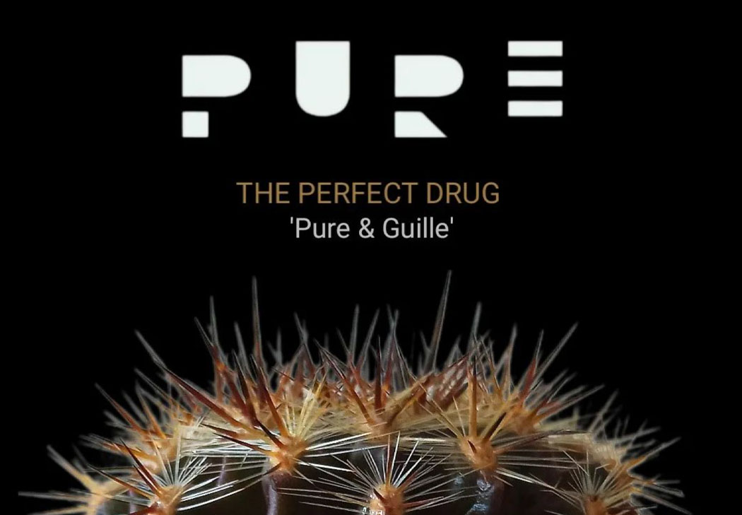 Pure y Guille The Perfect Drug Noche Blanca 2023