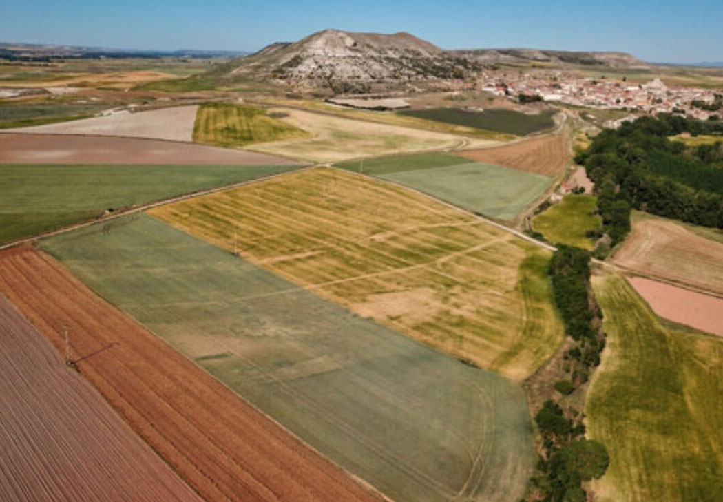 Estudio arqueológico del cerco de asedio romano de El Pisón y el castro de Pallantia (Palenzuela Palencia)