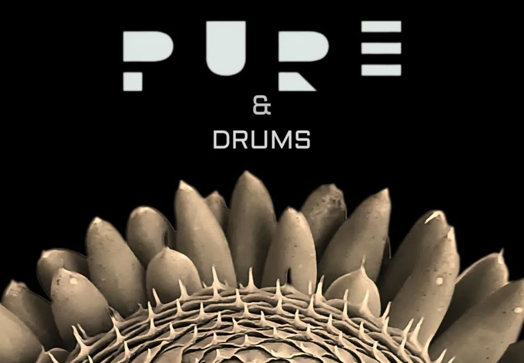 Pure & Drums Noche Blanca 2024