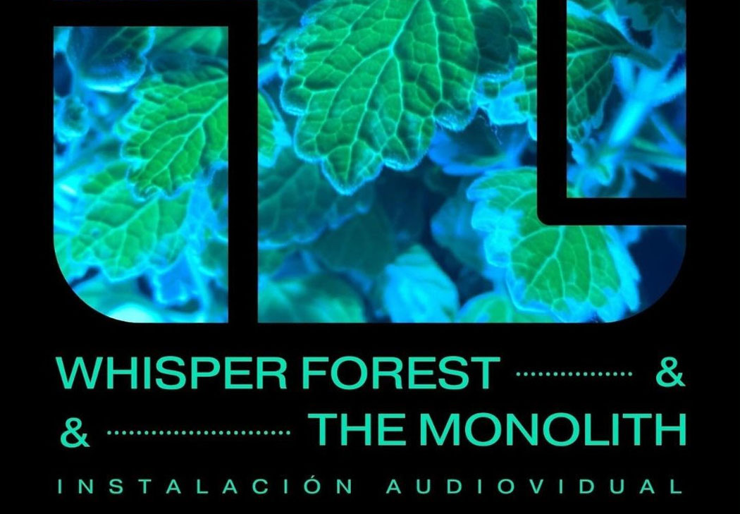 Whisper Forest & The Monolith Noche Blanca 2024