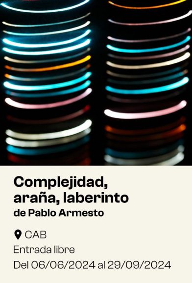 Complejidad araña laberinto Pablo Armesto
